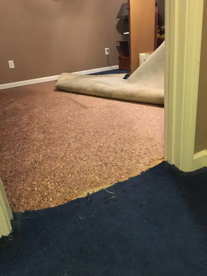 Carpet pad removal revealing water damage during Water Mitigation Services in New Philadelphia